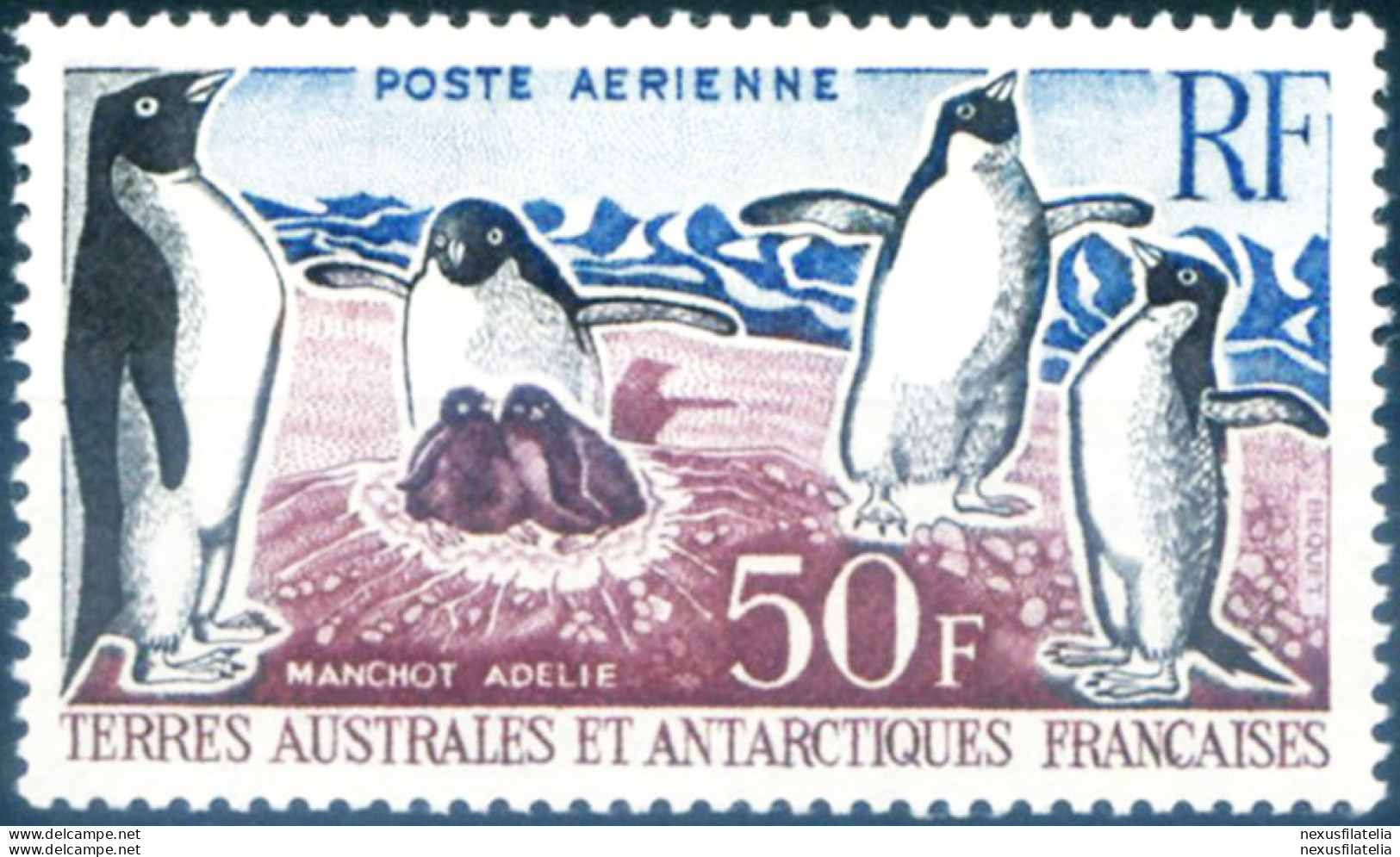 Fauna. Pinguini D'Adelia 1963. - Andere & Zonder Classificatie