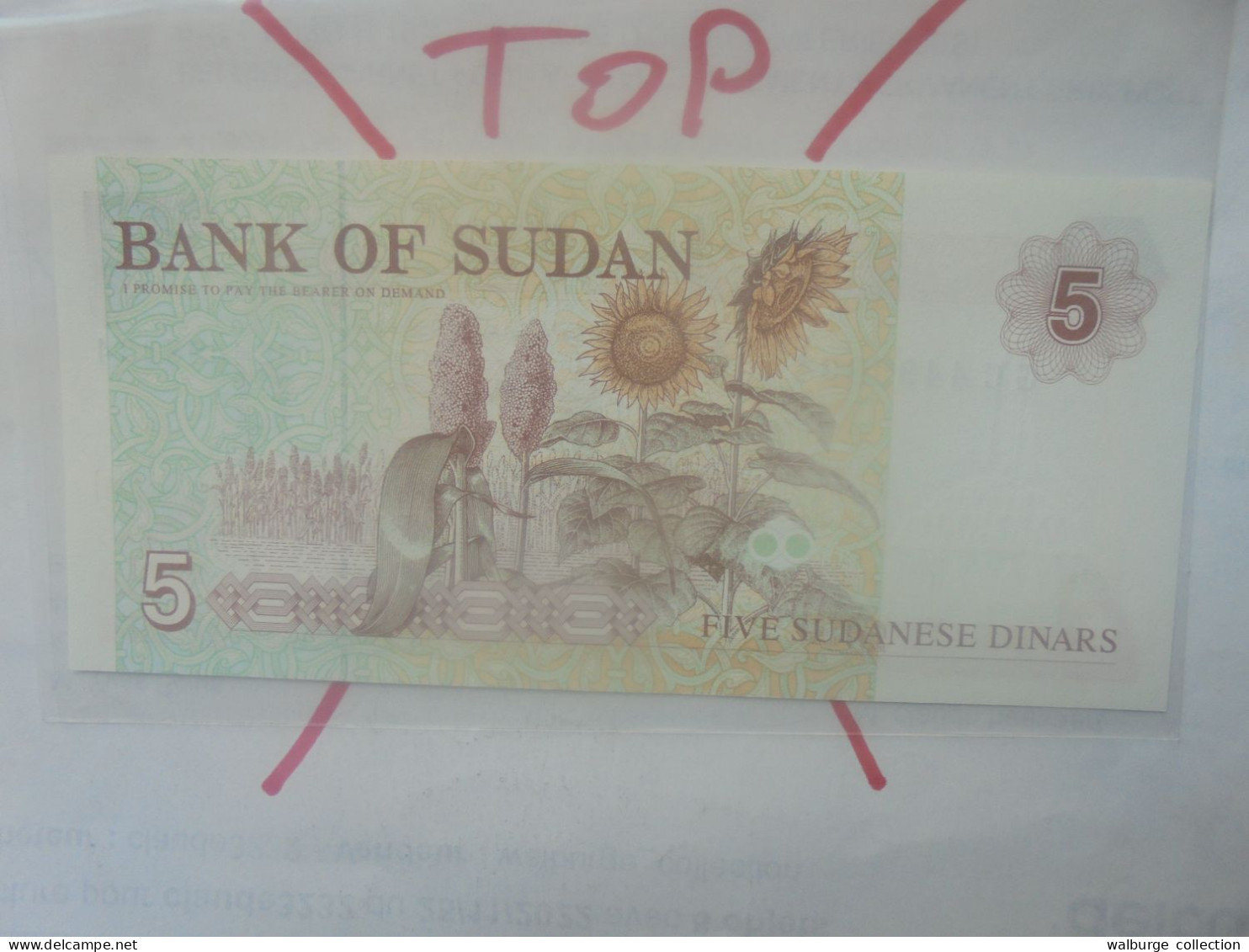 SOUDAN (SUD) 5 DINARS 1993 Neuf (B.33) - Südsudan