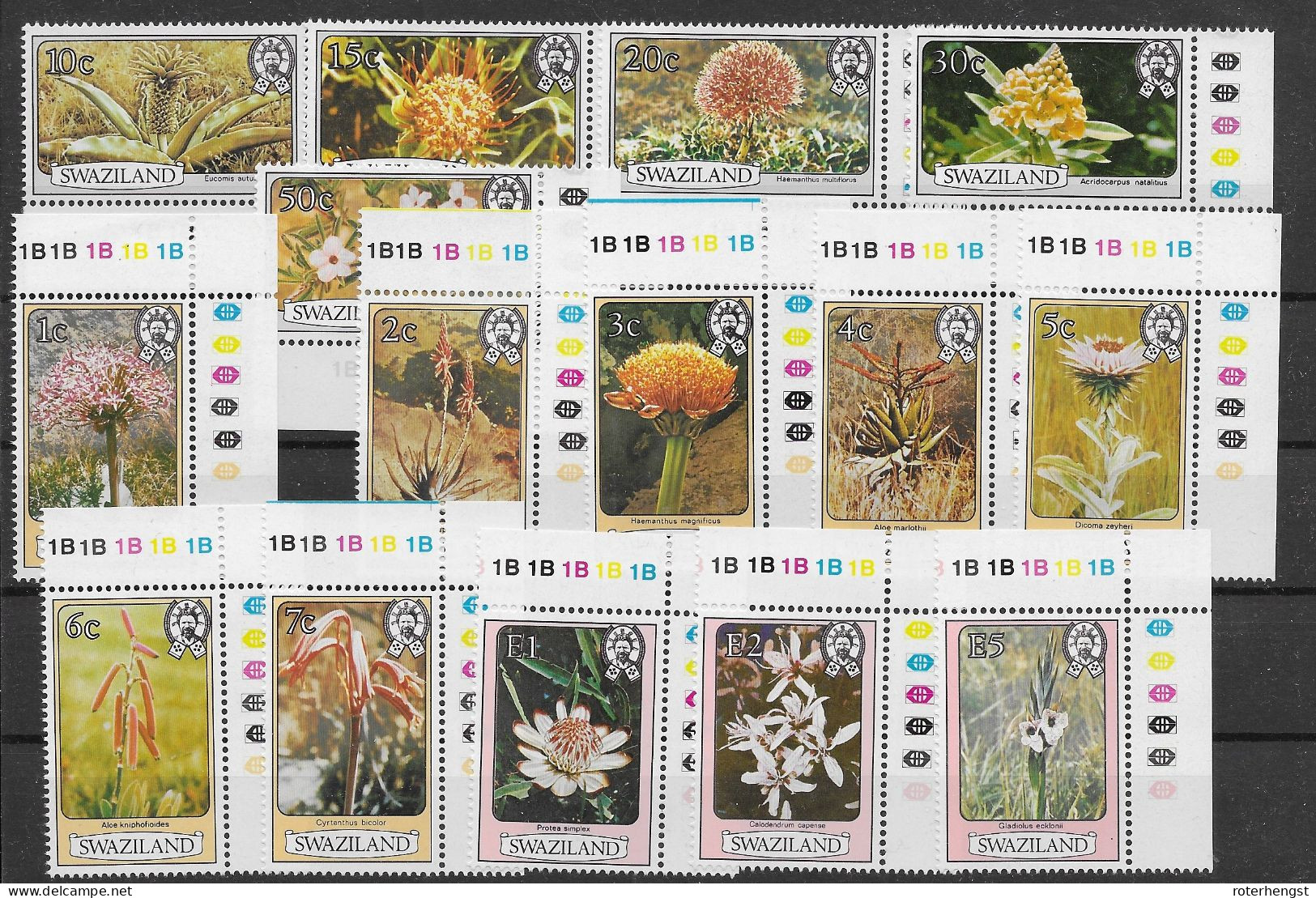 Swaziland Mushroom Set Mnh ** 1980 - Swaziland (1968-...)