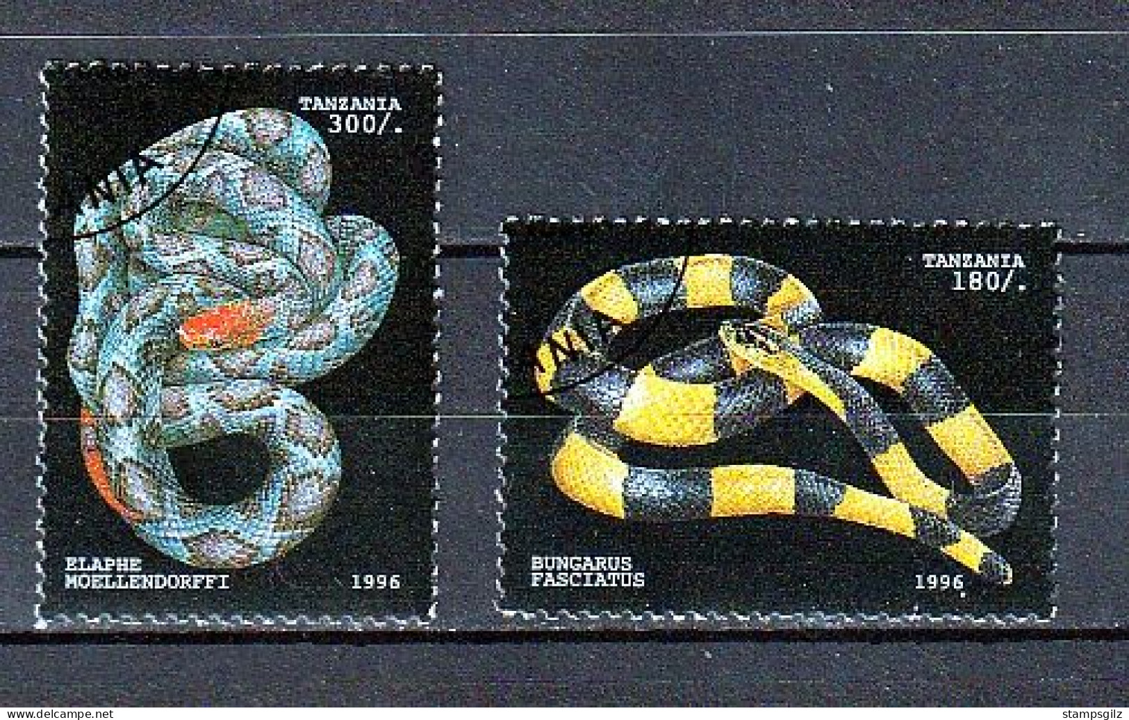 Tanzanie Serpents 1996 - Tanzania (1964-...)