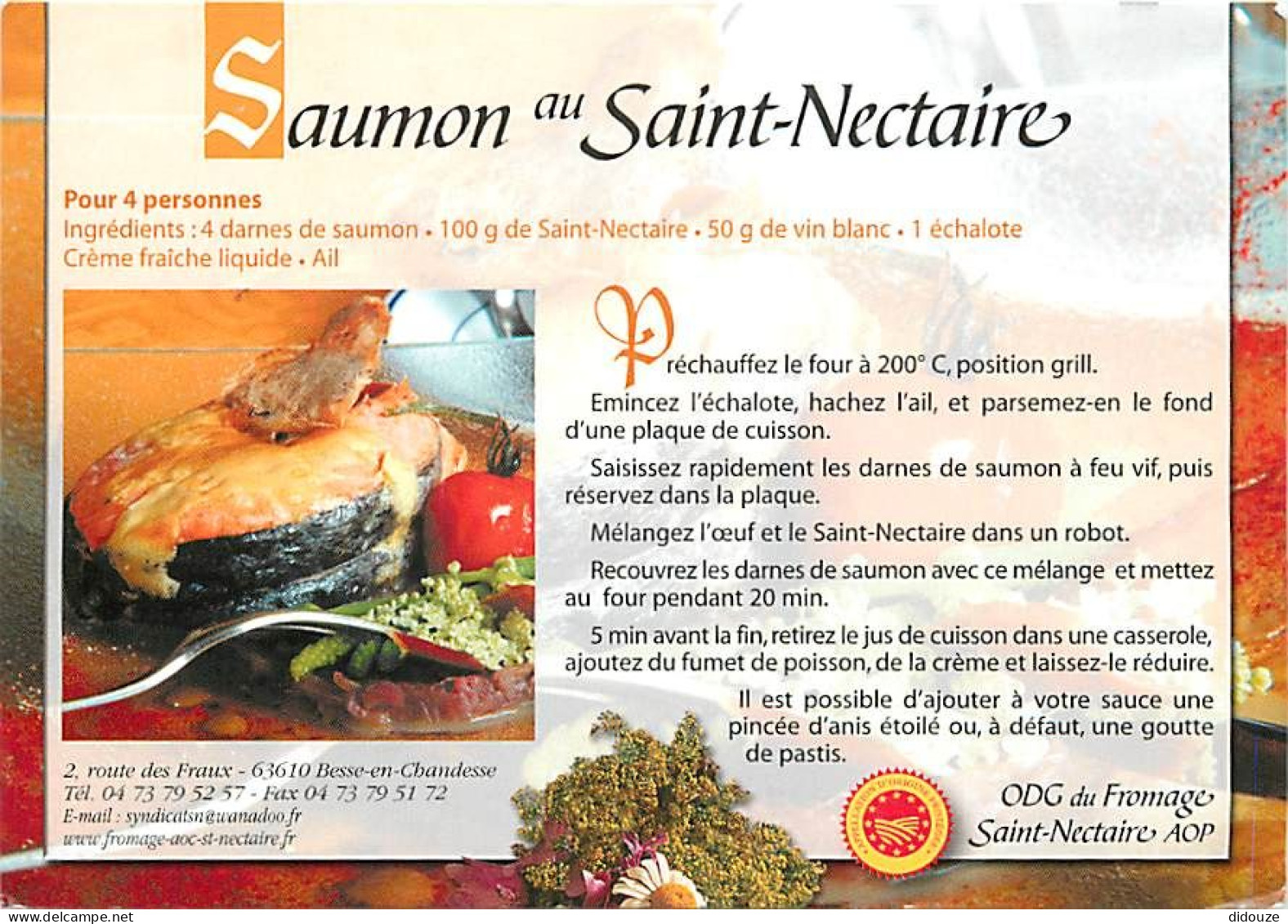 Recettes De Cuisine - Saumon Au Saint Nectaire - Carte Neuve - Gastronomie - CPM - Voir Scans Recto-Verso - Recettes (cuisine)