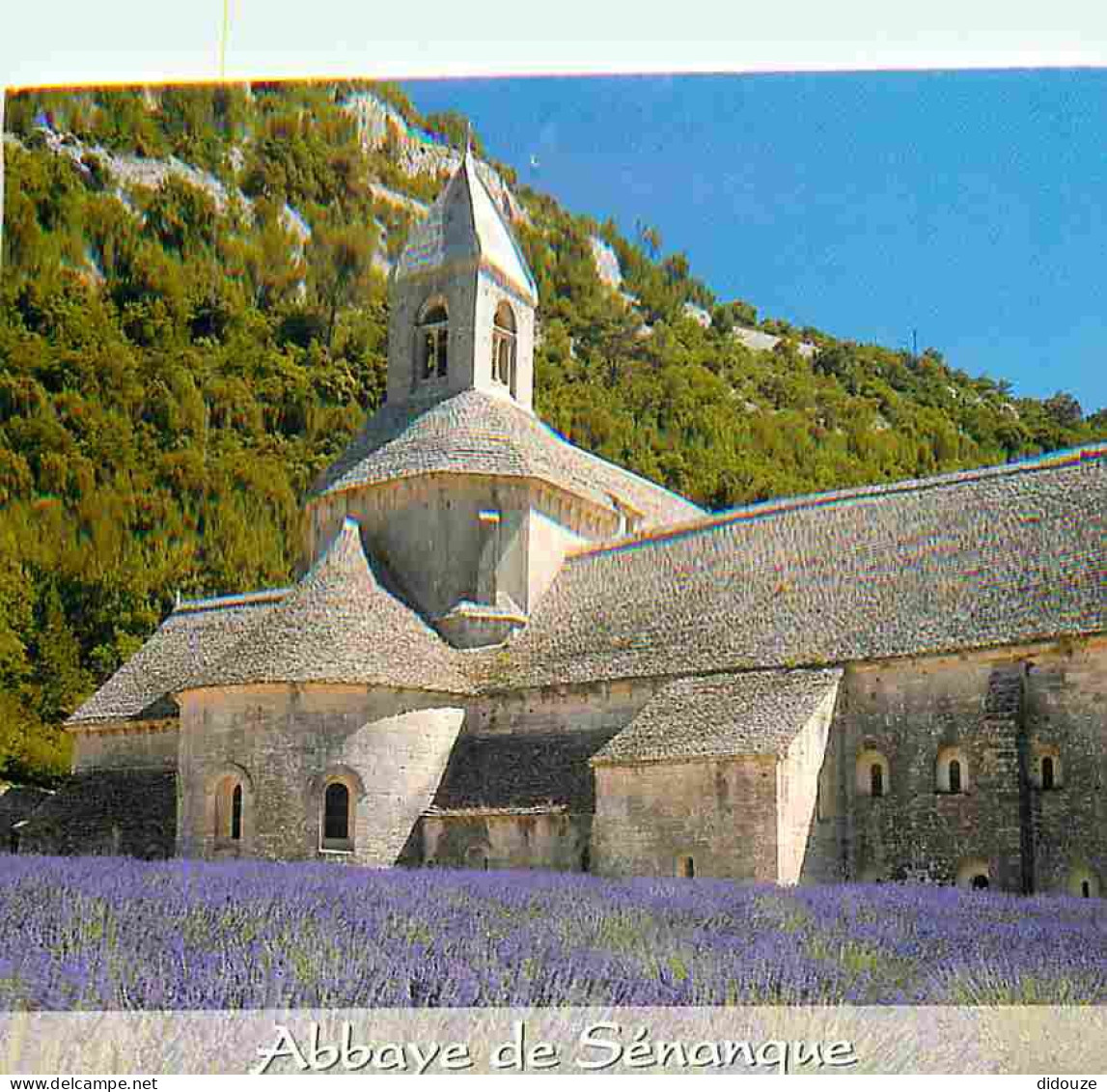 84 - Gordes - Abbaye De Sénanque - Champs De Lavande - CPM - Voir Scans Recto-Verso - Gordes