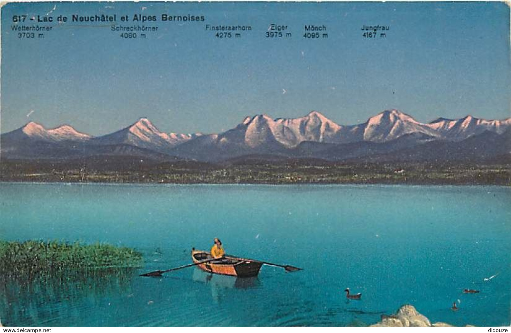 Pays - Suisse - Neuchâtel - Le Lac De Neuchâtel Et Alpes Bernoises - Colorisée - Canotage - CPA - Voir Scans Recto-Verso - Autres & Non Classés