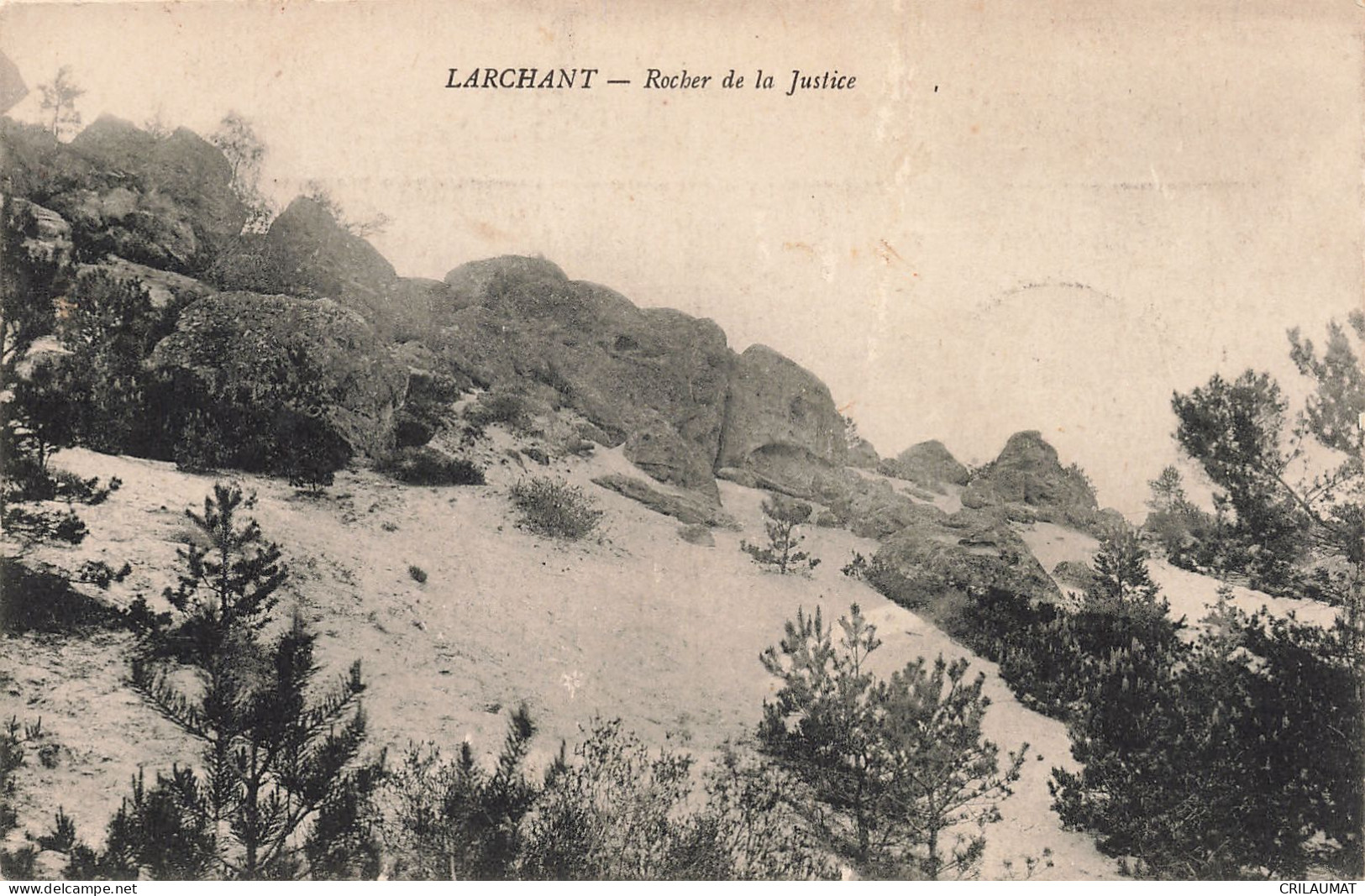 77-LARCHANT-N°T5266-F/0215 - Larchant