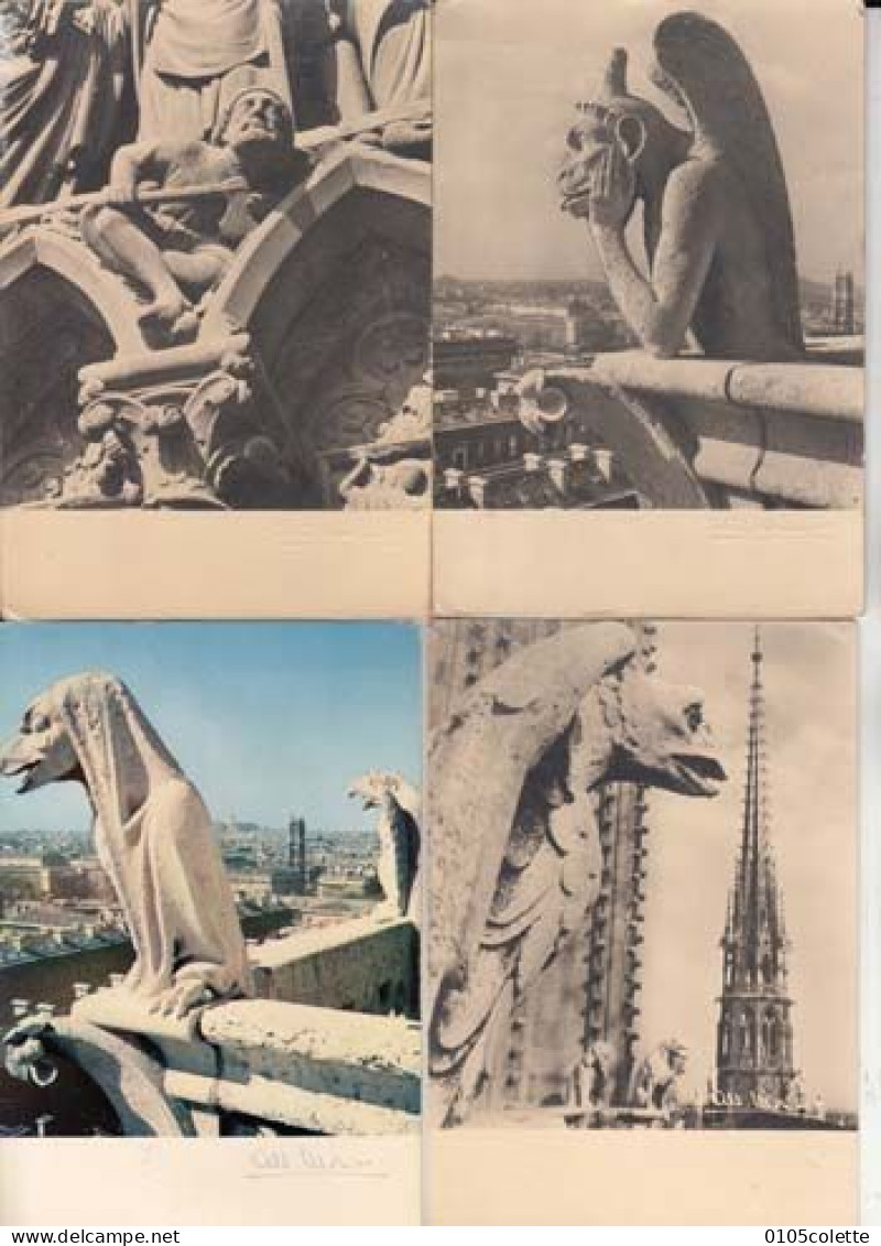 4 Cartes - Photographes - Albert Monier  - Paris - Les Chimères De Notre Dame - PRIX FIXE - ( Cd066) - Monier
