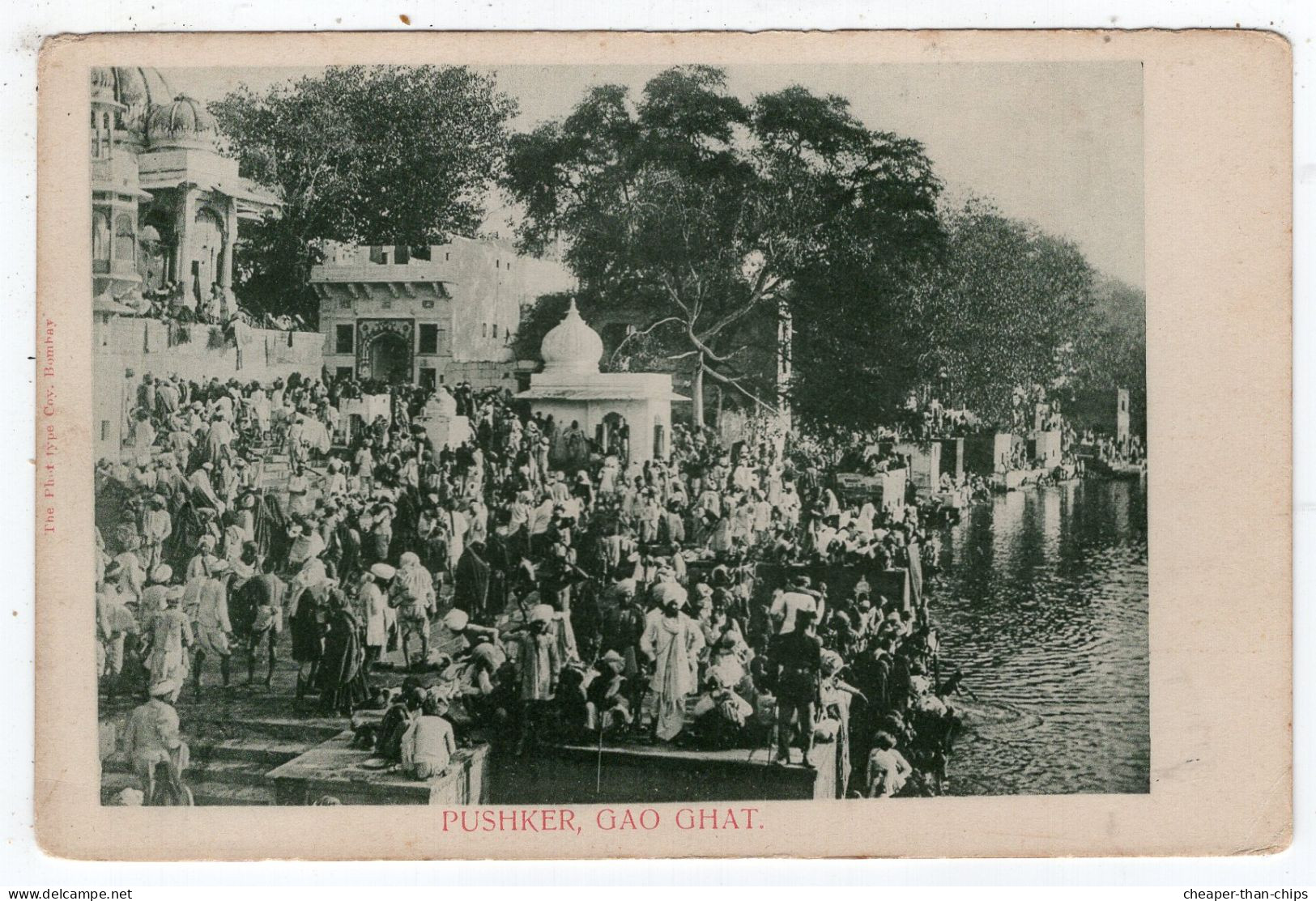 PUSHKER - Gao Ghat - Undivided Back - Inde