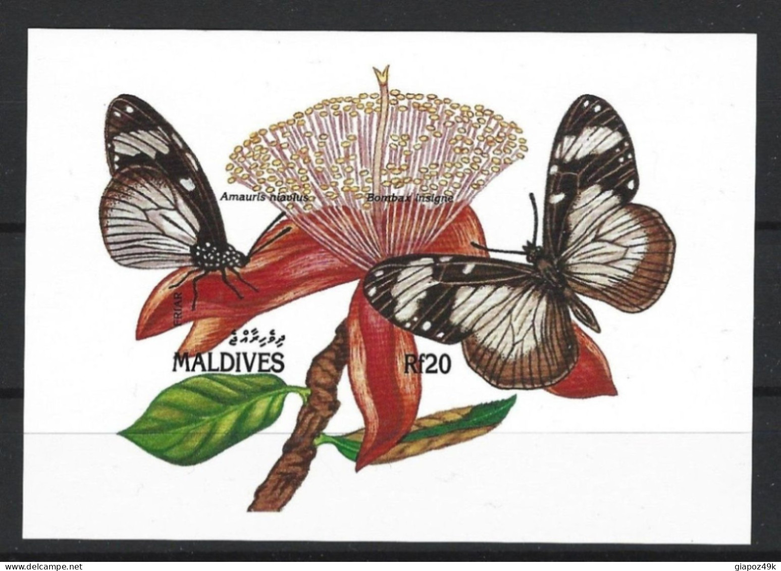 ● MALDIVES 1999 Maldive ֍ Farfalle / Papillons / Butterflies ֍ N. ? ** ● BF NON DENTELLATO ● Imperforated ● L. 2321 ● - Maldivas (1965-...)