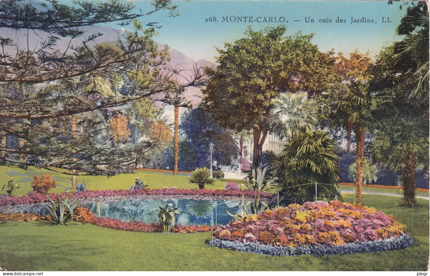 0-MCO08 01 00 - MONACO - LES JARDINS EXOTIQUES - LOT DE 5 CARTES - Exotic Garden