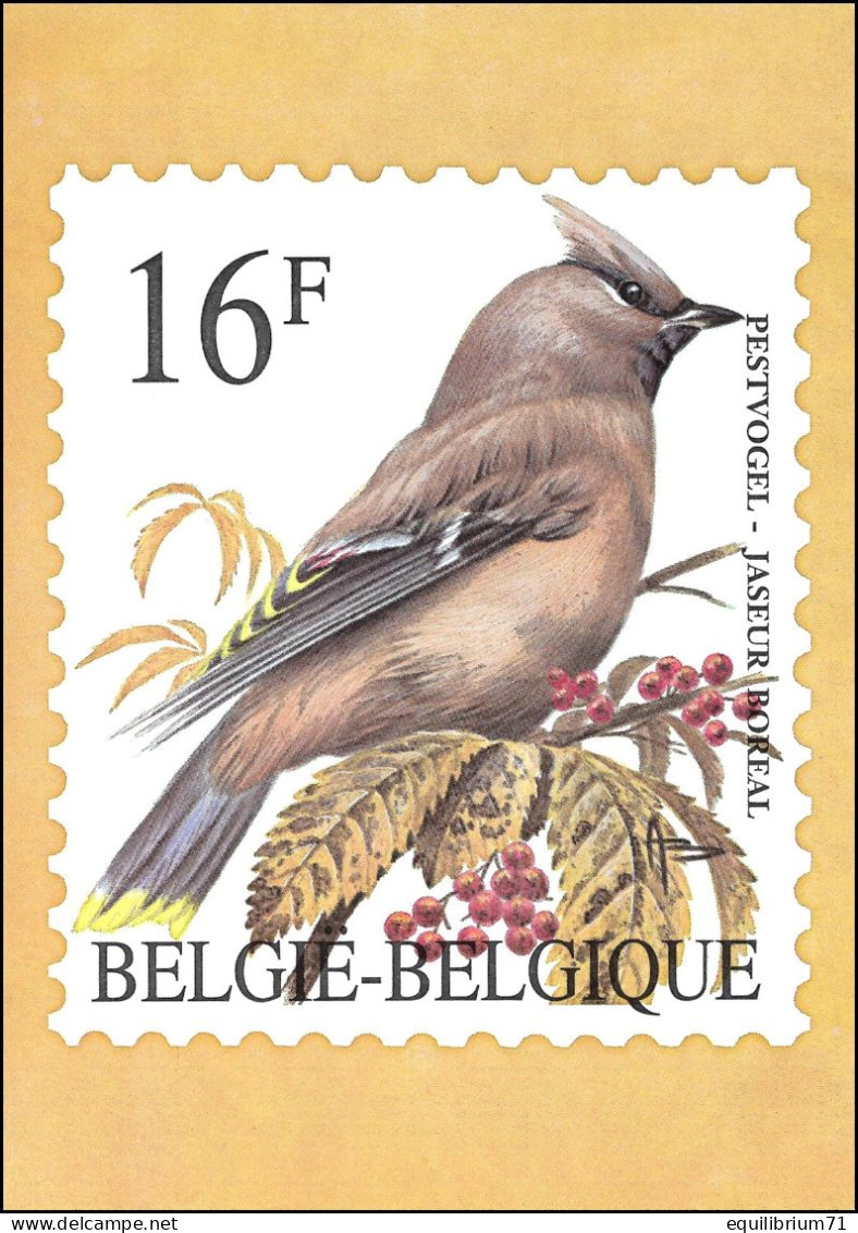 CP/PK** - 2534 - Jaseur Boréal / Pestvogel / Böhmischer Seidenschwanz - BUZIN - RRRR - 1985-.. Birds (Buzin)