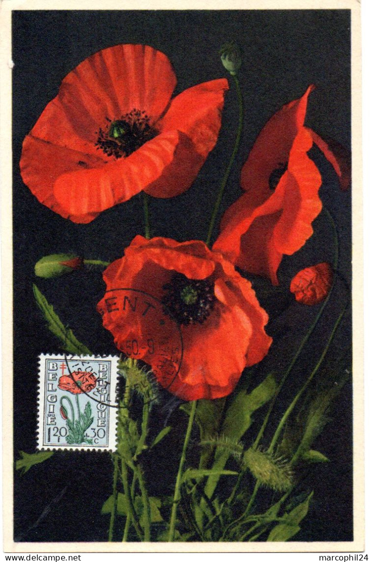 FLEUR + COQUELICOT = BELGIQUE 1949 = CARTE MAXIMUM + N° Yvert 817 - Other & Unclassified