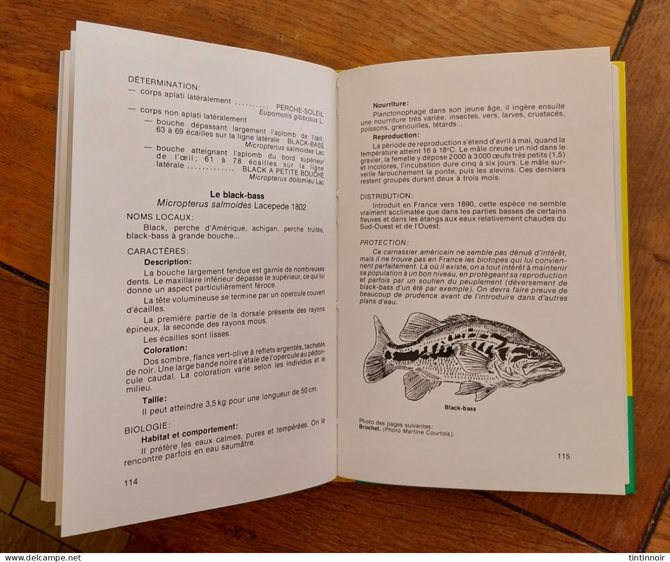 Connaitre Et Pêcher Les Poissons D'eau Douce 1983 Bernard Breton - Caccia/Pesca