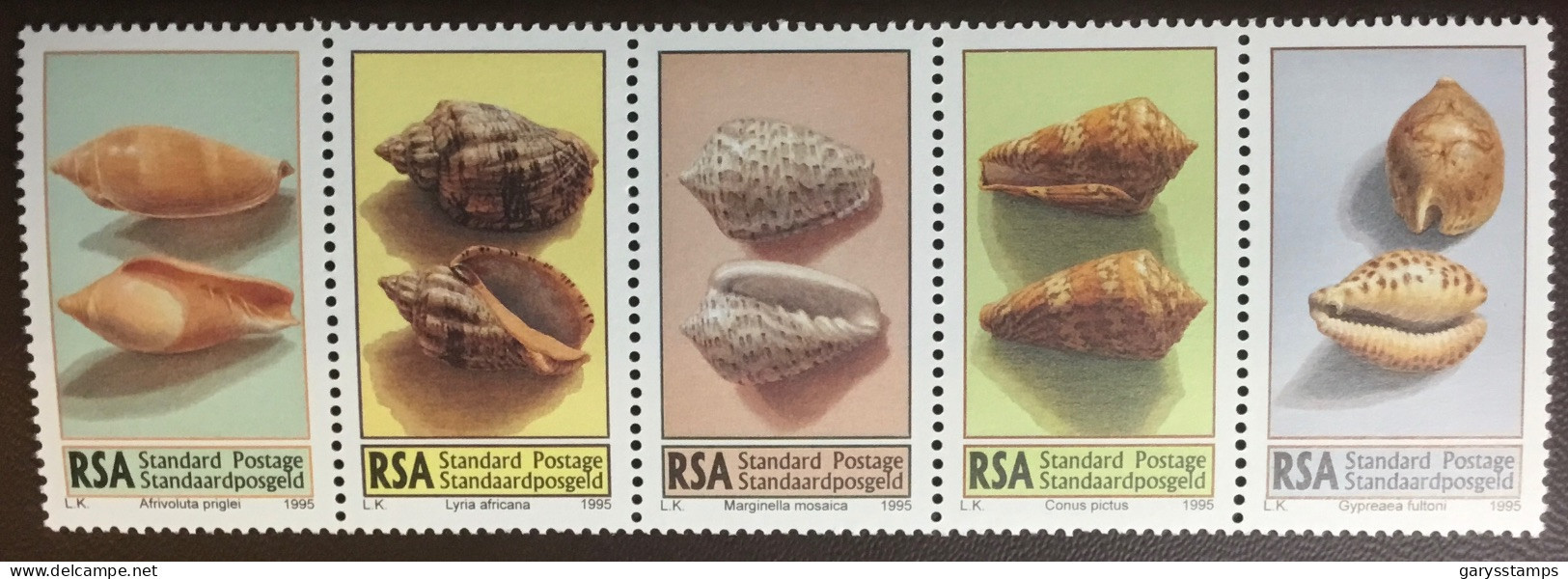 South Africa 1995 Shells MNH - Muscheln