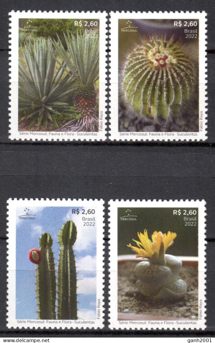 Brazil 2022 Brasil / Flowers Cactus MERCOSUR MNH Flores Blumen Kaktus Fleurs / Cu21720  27-14 - Other & Unclassified