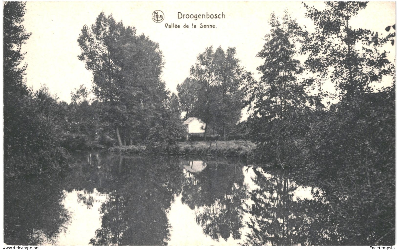 CPA Carte Postale Belgique Droogenbosch  Vallée De La Senne VM78873 - Drogenbos