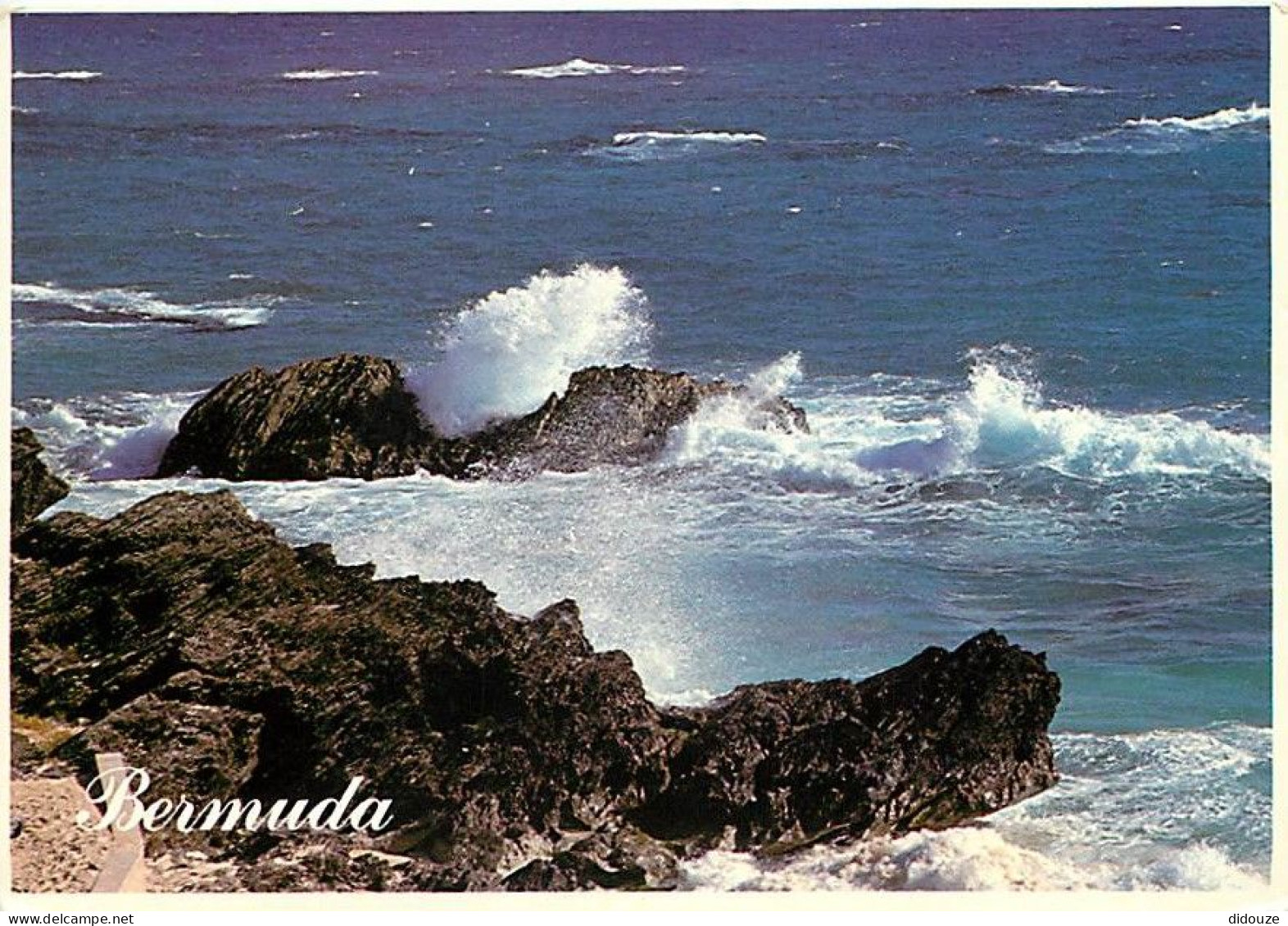 Antilles - Bermudes - Bermuda - CPM - Voir Scans Recto-Verso - Bermuda