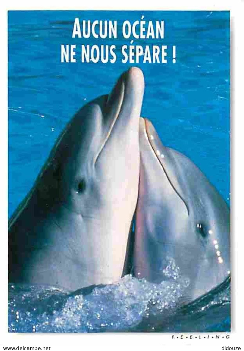 Animaux - Dauphins - CPM - Voir Scans Recto-Verso - Delfines