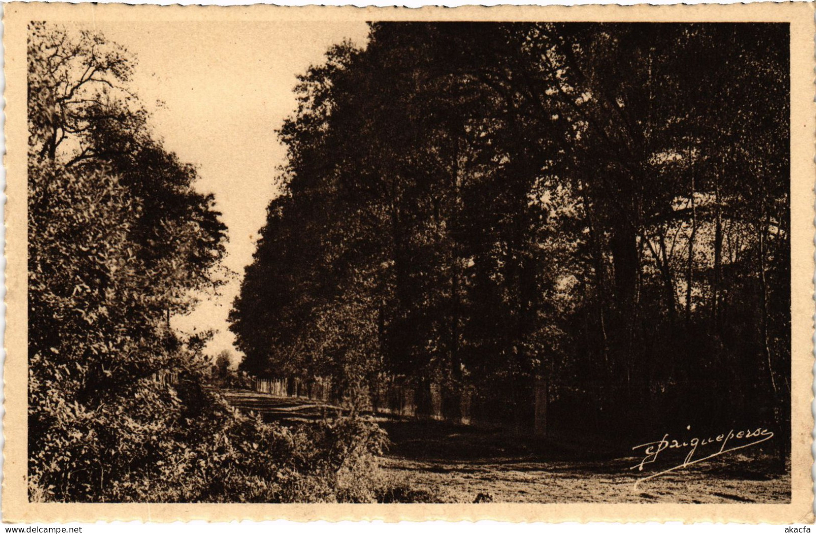 CPA LES ESSARTS-le-ROI Saint-Hubert-le-Roi - Road Scene (1386061) - Les Essarts Le Roi