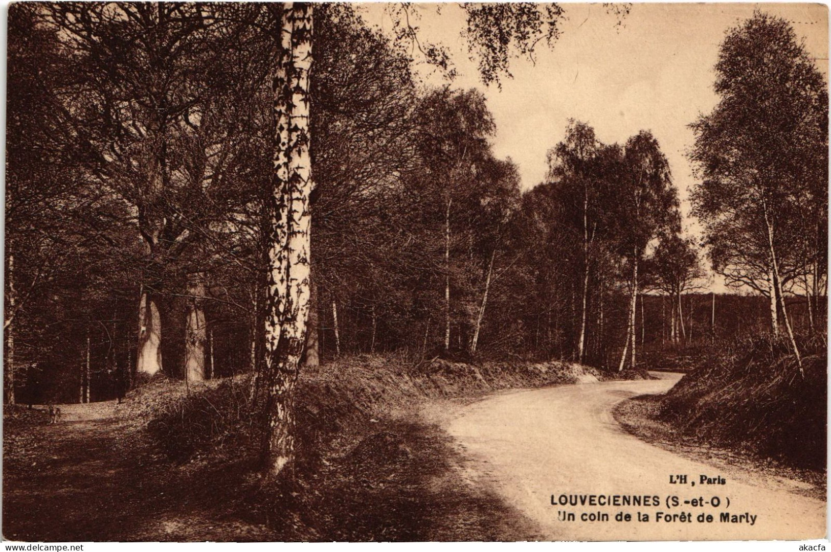 CPA LOUVECIENNES Un Coin De La Foret De Marly (1386406) - Louveciennes