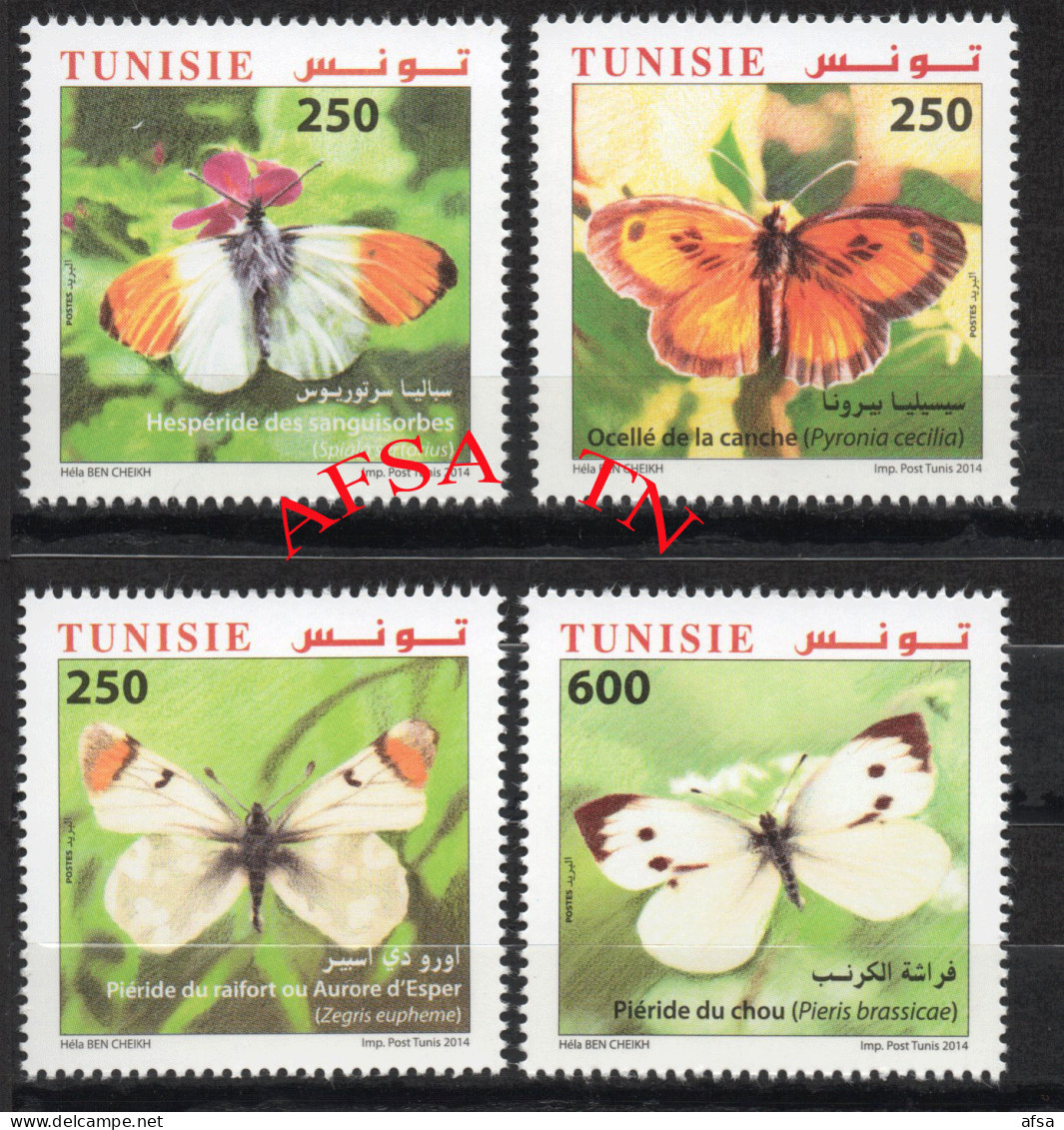 2014 Papillons / / 2014 Butterflies - Tunisia