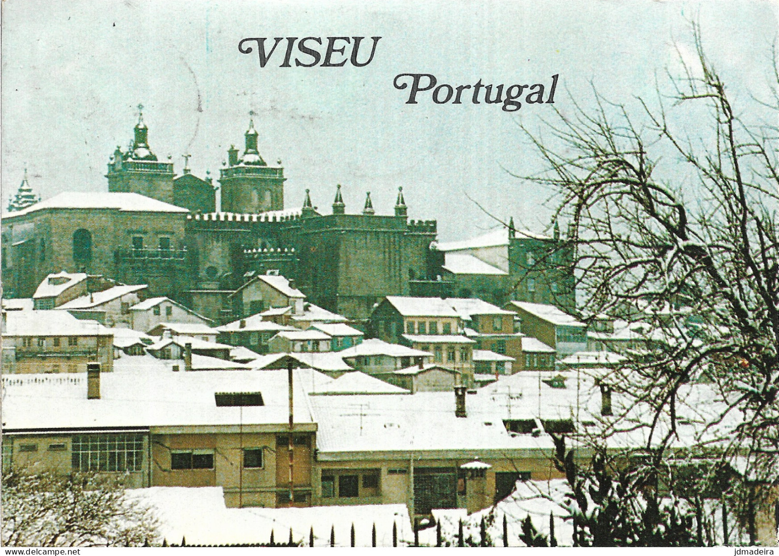 VISEU Nevão Na Cidade Em 1982 Postcard - Viseu