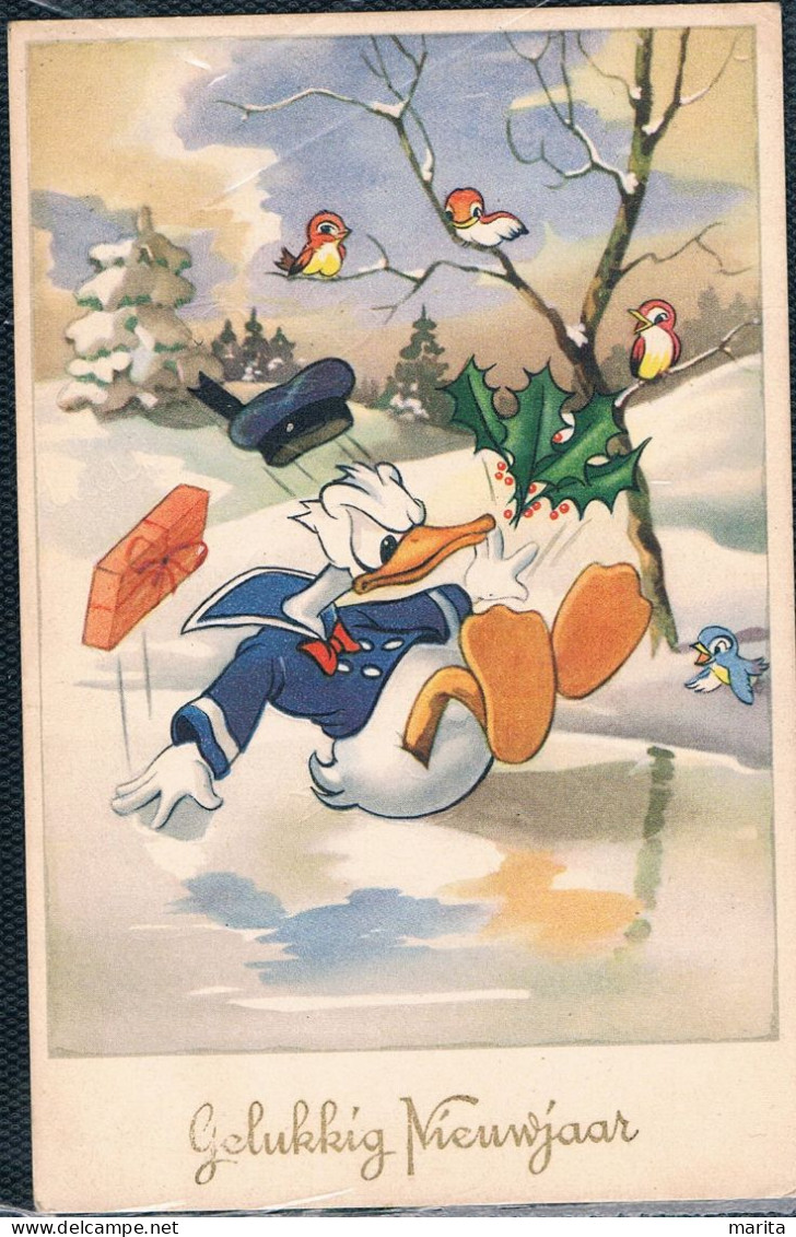 Donald Duck Op Het Ijs - Disneyworld