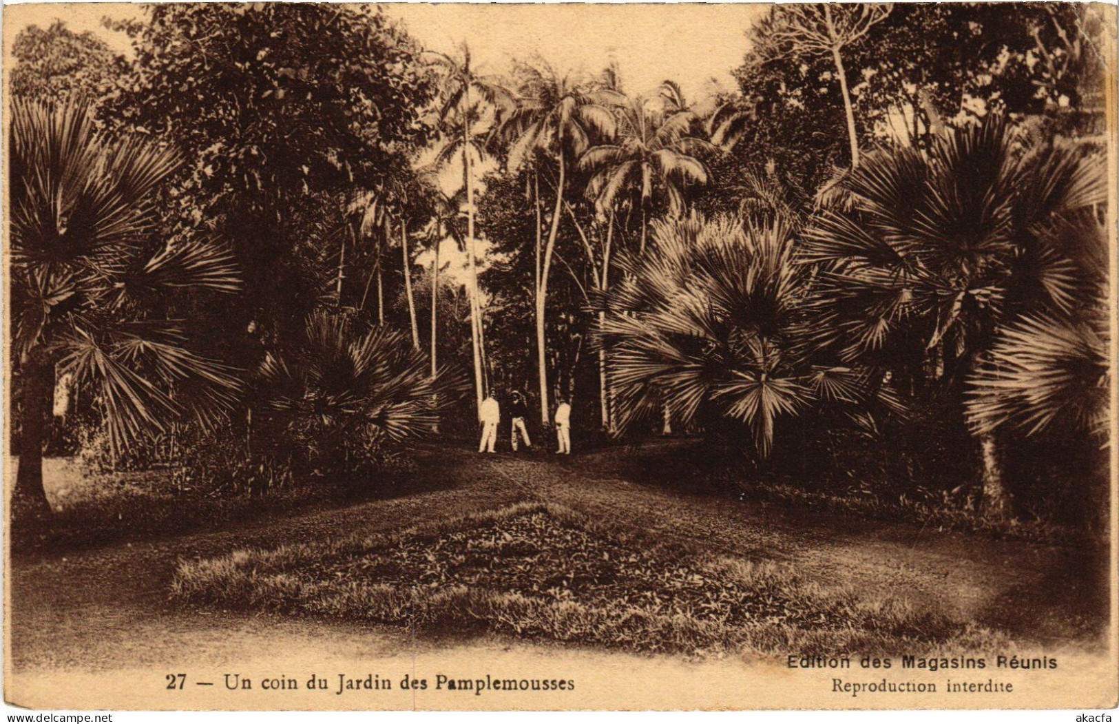 PC MAURITIUS ILE MAURICE UN COIN DU JARDIN DES PAMPLEMOUSSES (a53223) - Maurice