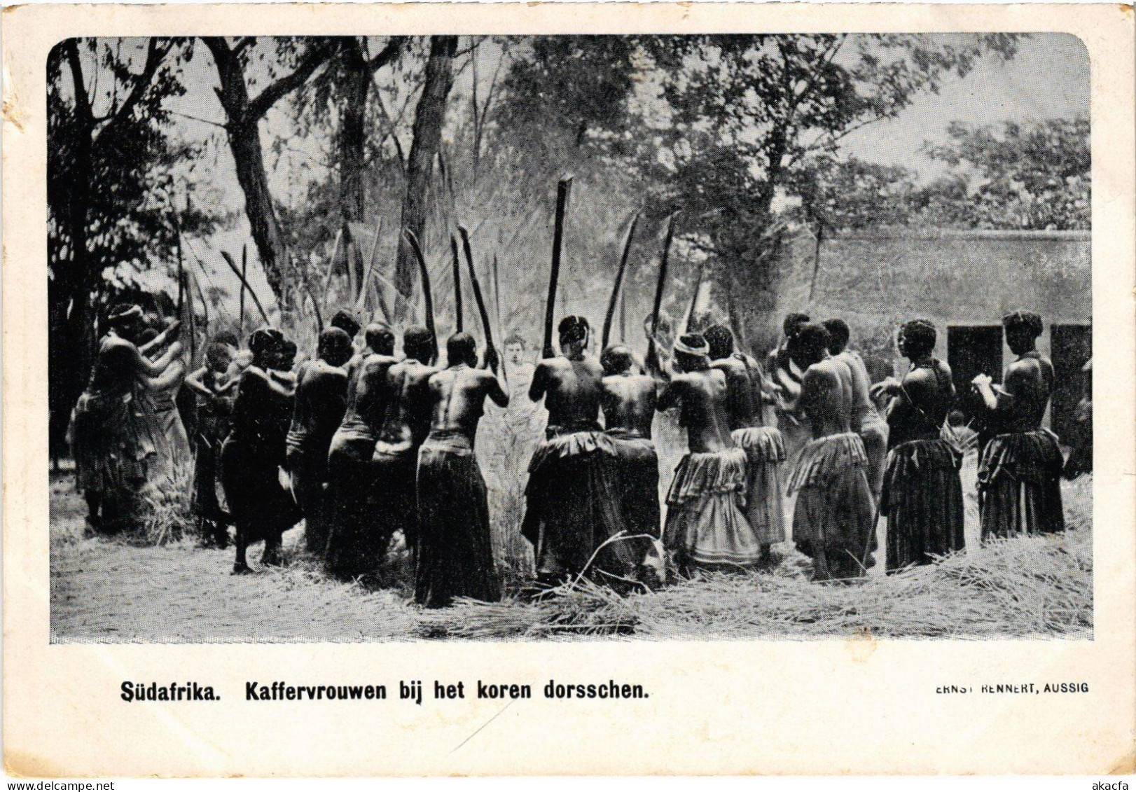 PC SOUTH AFRICA KAFFERVROUWEN BIJ HET KOREN DORSSCHEN ETHNIC TYPES (a53111) - South Africa