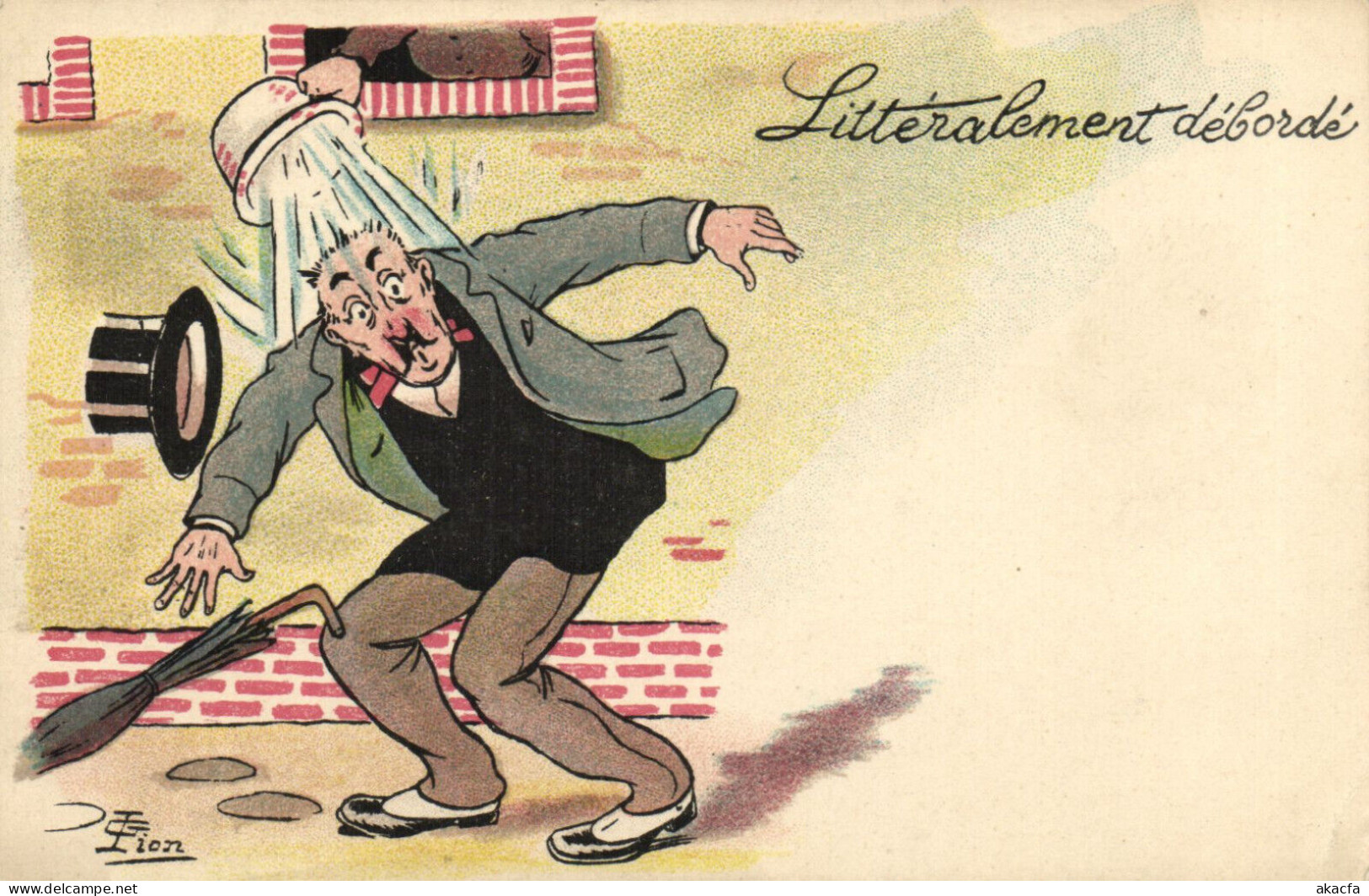 PC ARTIST SIGNED, LION, LITTÉRALEMENT DÉBORDÉ, Vintage Postcard (b52592) - Lion