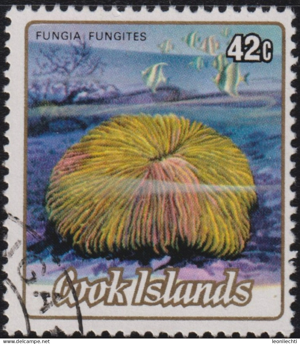 1987 Cookinseln ° Mi:CK 991, Sn:CK 800, Yt:CK 782, Sg:CK 979,Common Mushroom Coral (Fungia Fungites), Corals II - Cook Islands