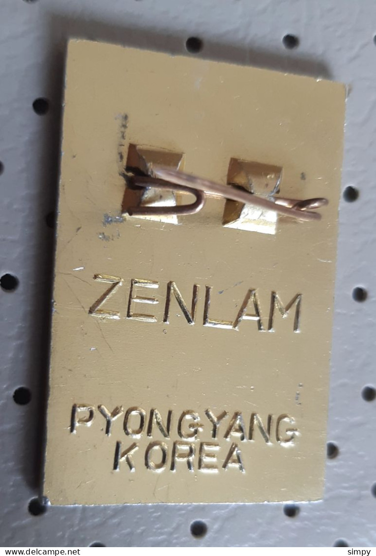 ZENLAM PyongYang North Korea Space Cosmos Pin Badge - Espace