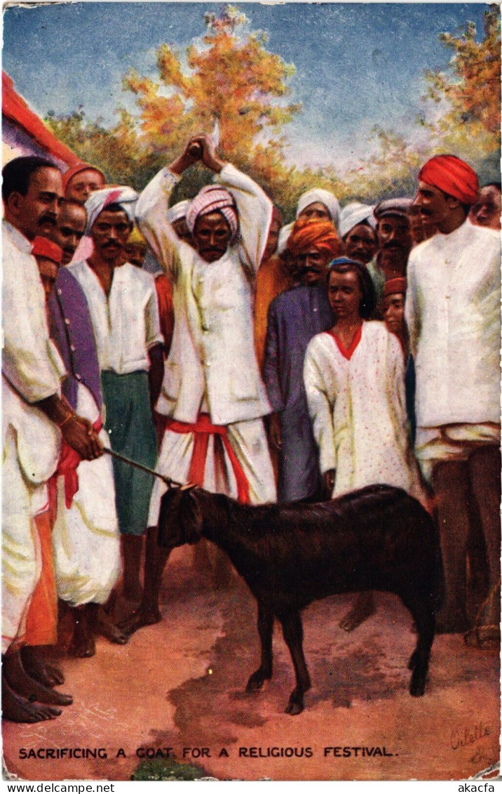 PC INDIA RELIGOUS FESTIVAL GOAT SACRIFICE, Vintage Postcard (b52787) - India