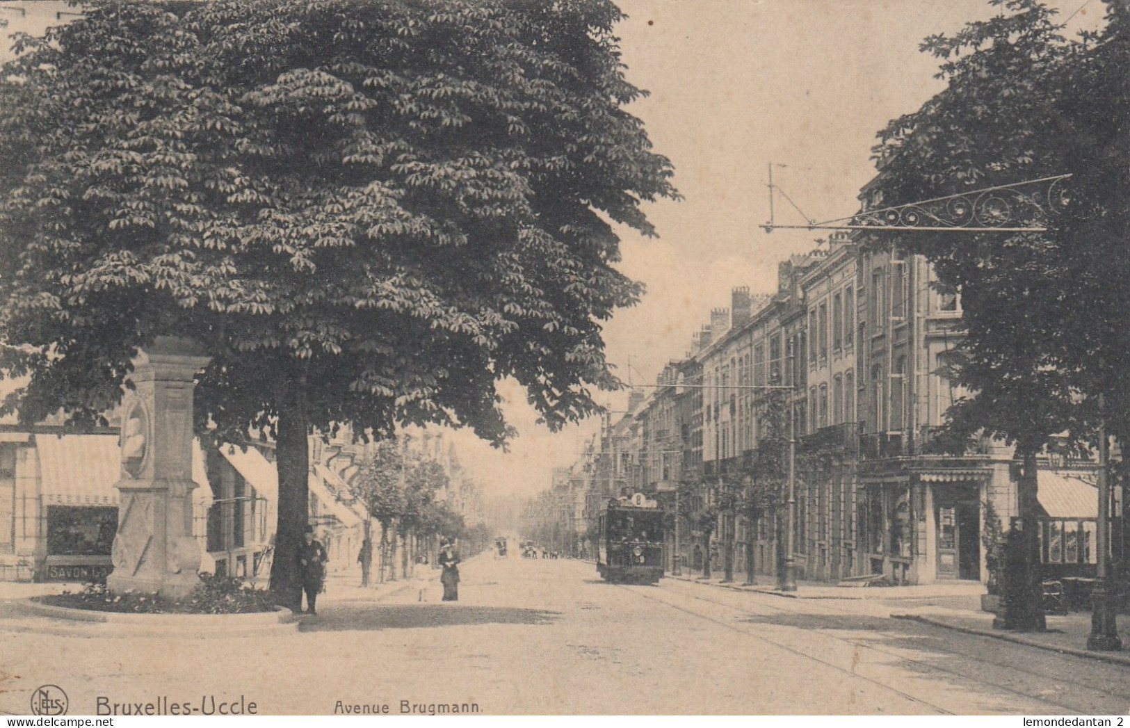 Bruxelles - Uccle - Avenue Brugmann - Tram - Uccle - Ukkel