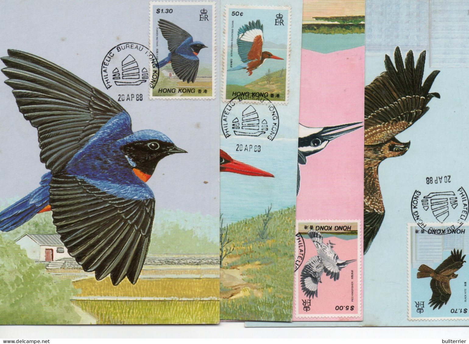 BIRDS - HONG KONG -1988 - BIRDS SET OF 4 MAXI CARDS- FINE ITEMS  - Columbiformes