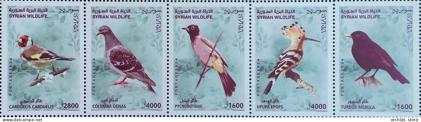 Syria 2024 NEW MNH Issue, Birds, Set 5 Stamps - Syrië