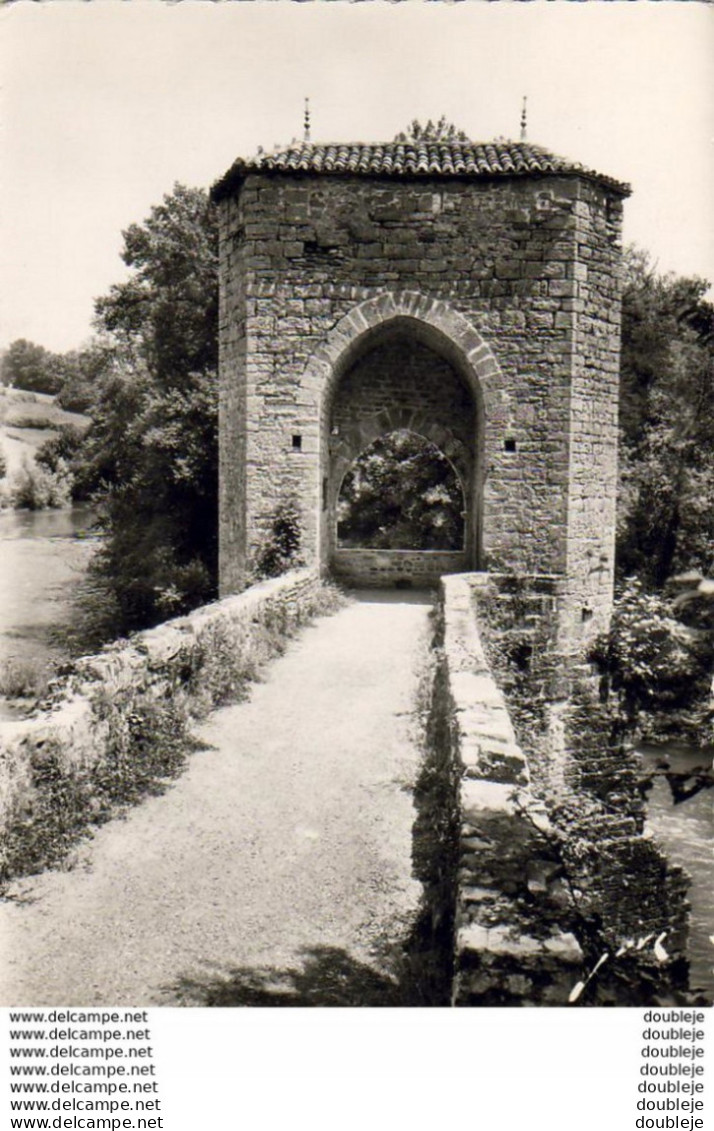 D64  SAUVETERRE-DE-BEARN  Le Pont De La Légende  ..... - Sauveterre De Bearn