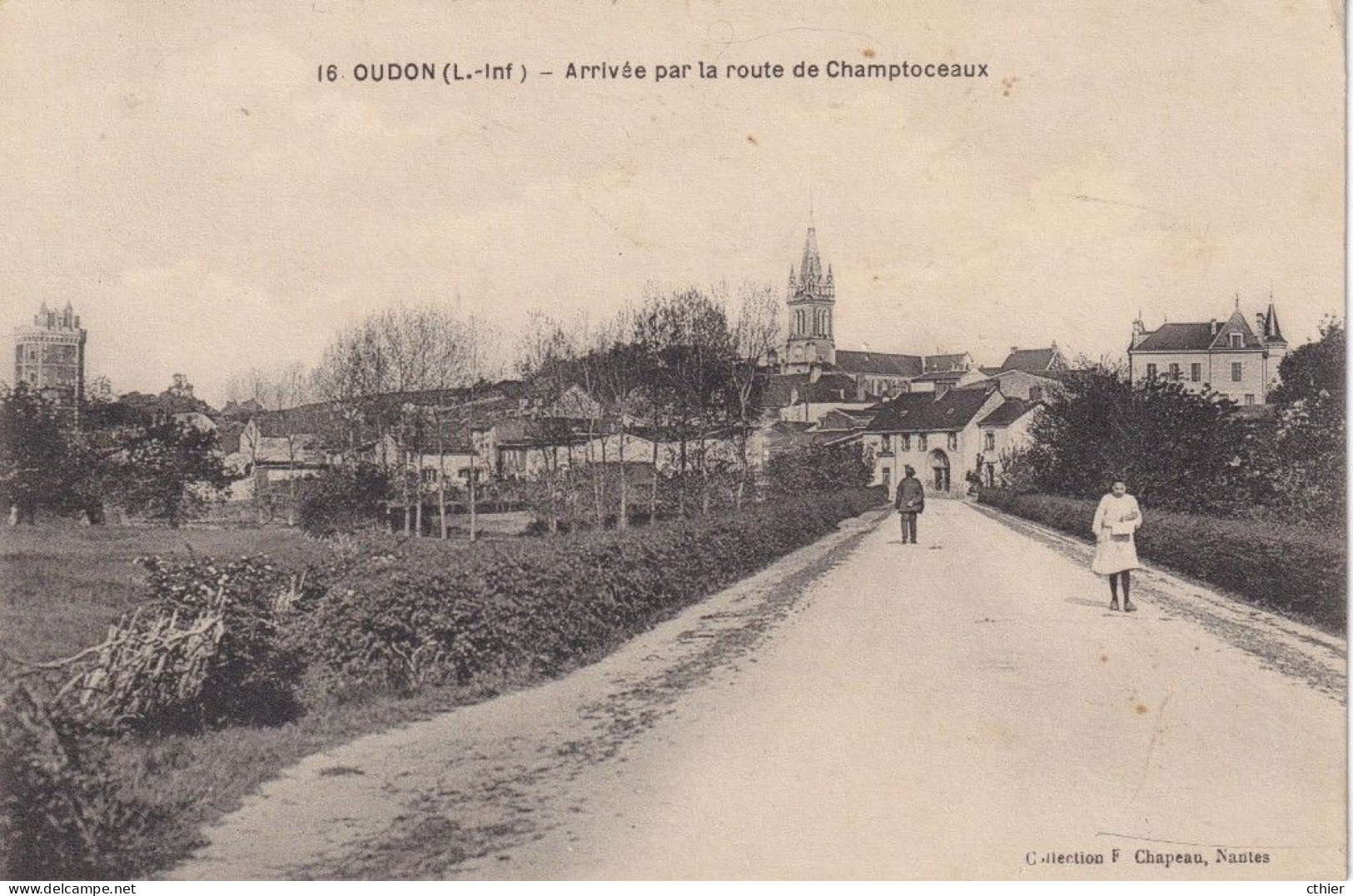 CPA OUDON  44 - Arrivée Par La Route De Champtoceaux - Oudon