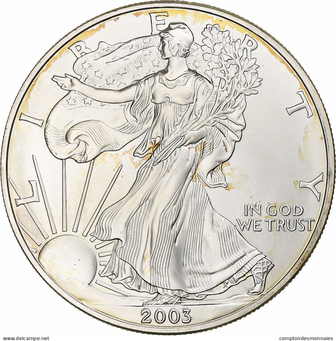 États-Unis, 1 Dollar, 1 Oz, Silver Eagle, 2003, Philadelphie, Argent, FDC - Zilver