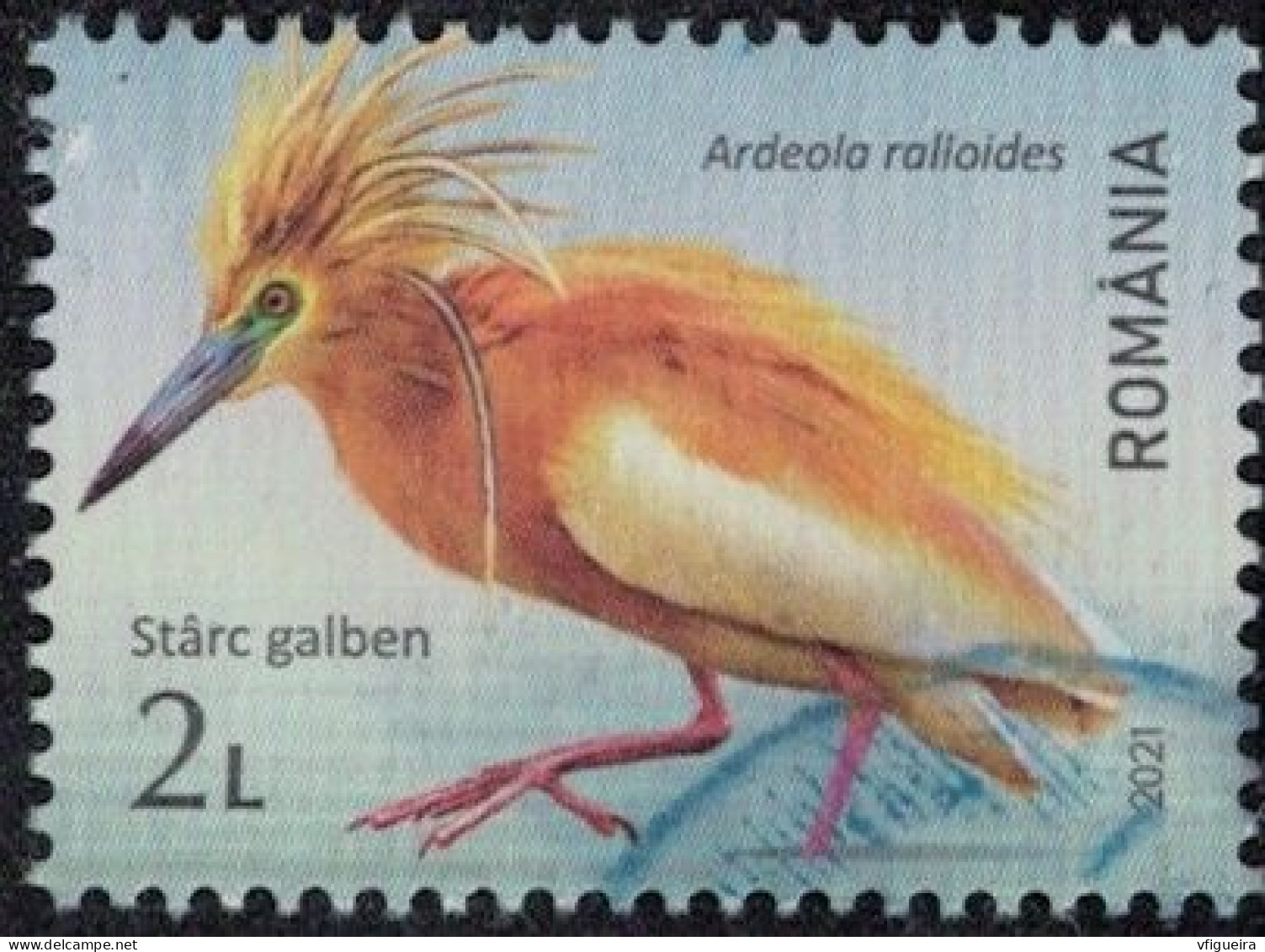 Roumanie 2021 Oblitéré Used Oiseau Ardeola Ralloides Crabier Chevelu Y&T RO 6674 SU - Gebraucht