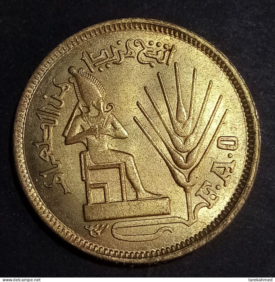 Egypt , 10 Milliemes , 1976 "FAO" - KM 449, UNC , Agouz - Egypt