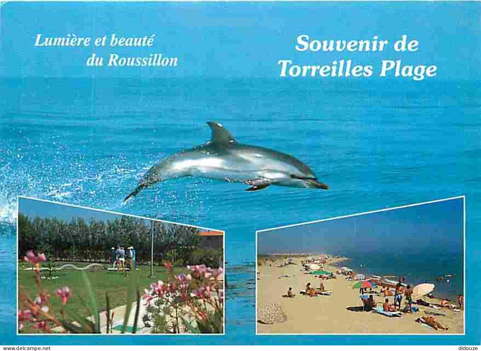 Animaux - Dauphins - Torreilles Plage - Multivues - CPM - Voir Scans Recto-Verso - Dolfijnen