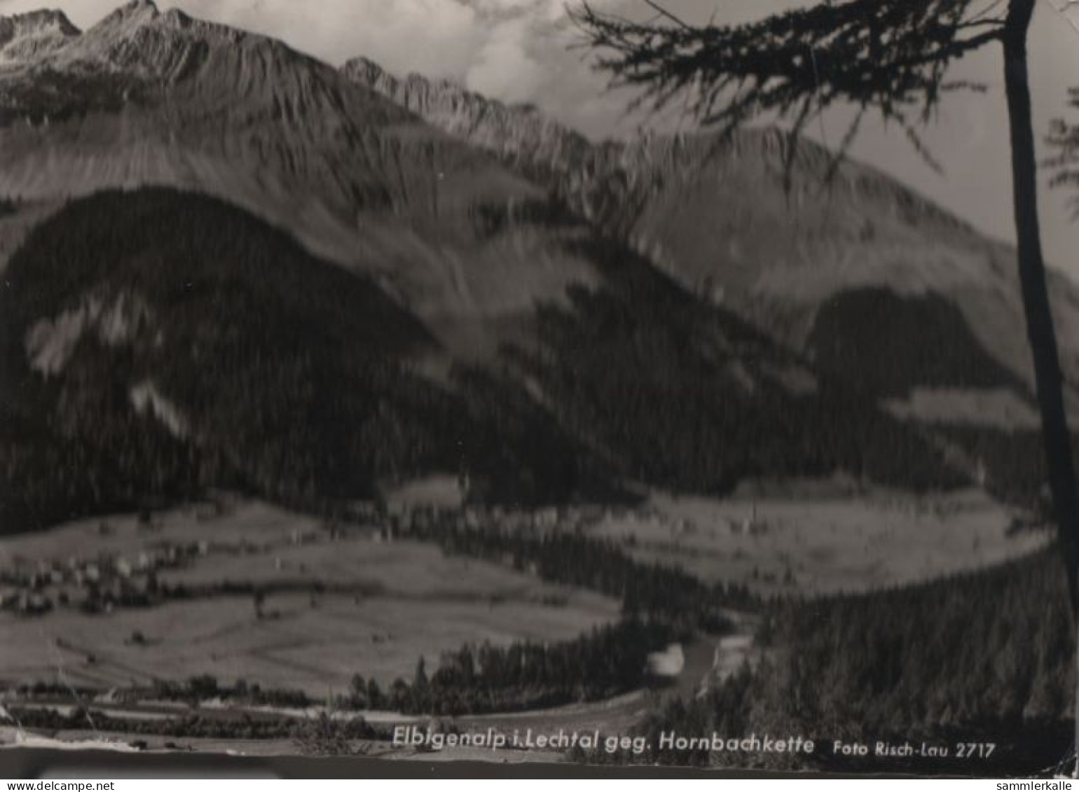 50542 - Österreich - Elbigenalp - Gegen Hornbachkette - 1964 - Reutte