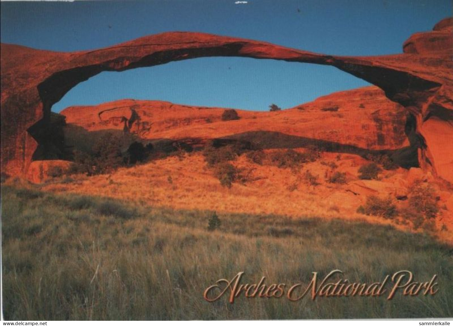 106940 - USA - Arches-Nationalpark - 2008 - Otros & Sin Clasificación