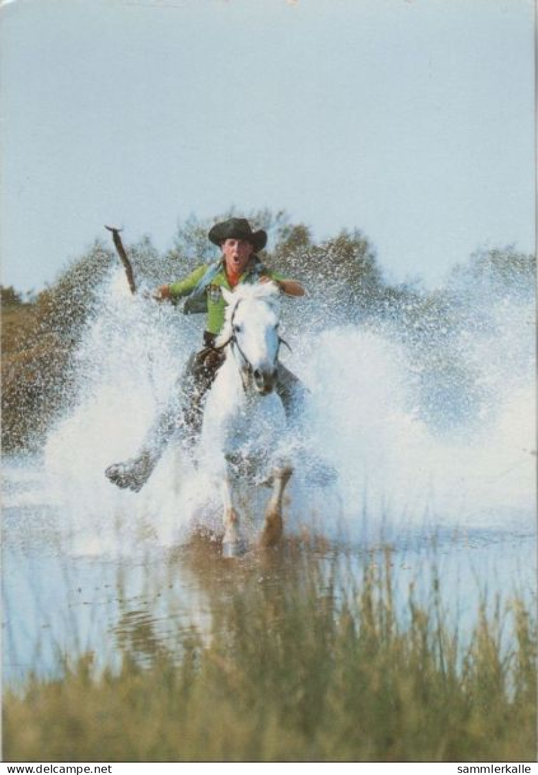 99775 - Frankreich - Camargue - Ca. 1985 - Autres