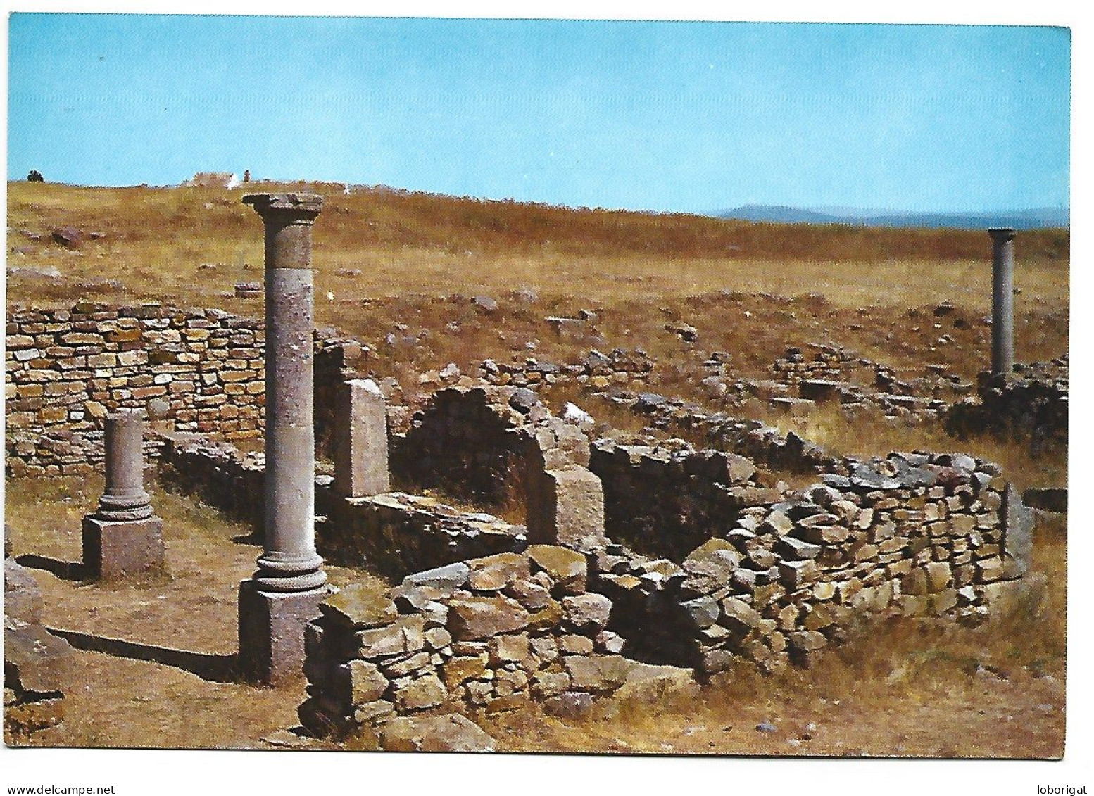 RUINAS DE NUMANCIA / RUINS OF NUMANTIA.- SORIA.- ( ESPAÑA). - Soria