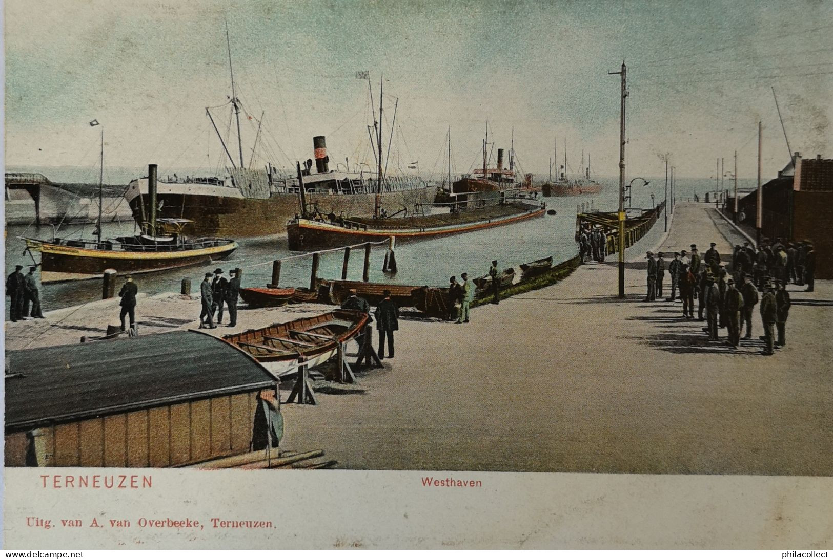 Terneuzen // Westhaven Ca 1900 - Terneuzen