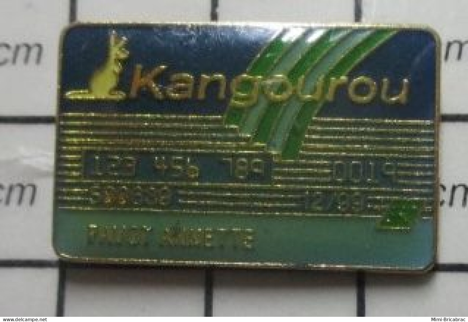 511B Pin's Pins / Beau Et Rare / BANQUES / CARTE KANGOUROU DE ANNETTE PAVOT C'est Stupéfiant ! - Bancos