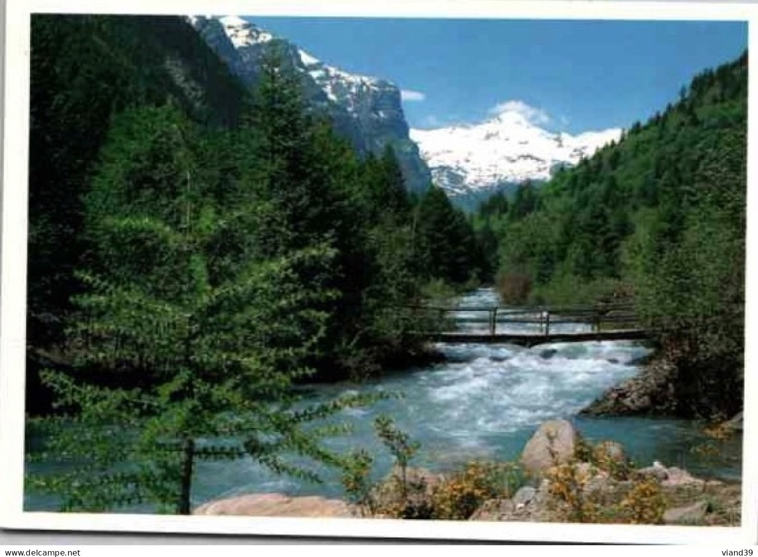 Soleil Et Montagne   -  Carte Datée De Juillet 1990 - Rhône-Alpes