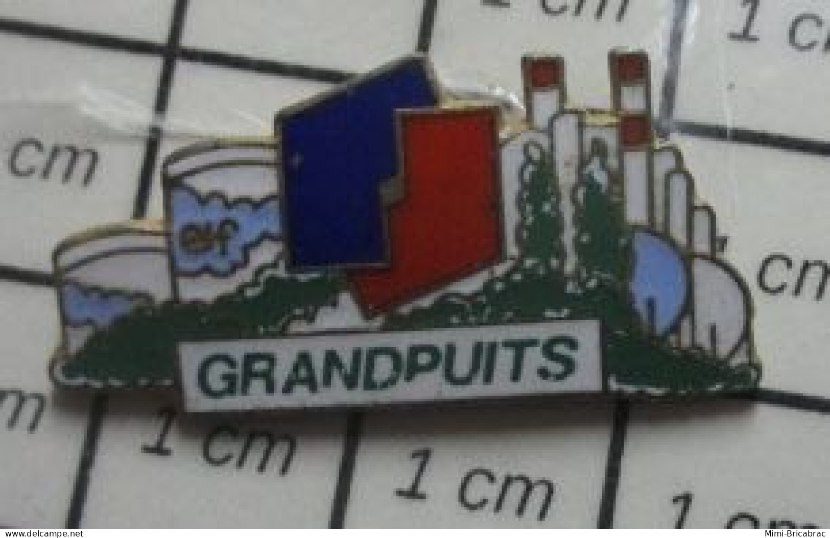 511B Pin's Pins / Beau Et Rare / CARBURANTS / ELF SITE DE GRANDPUITS - Carburants