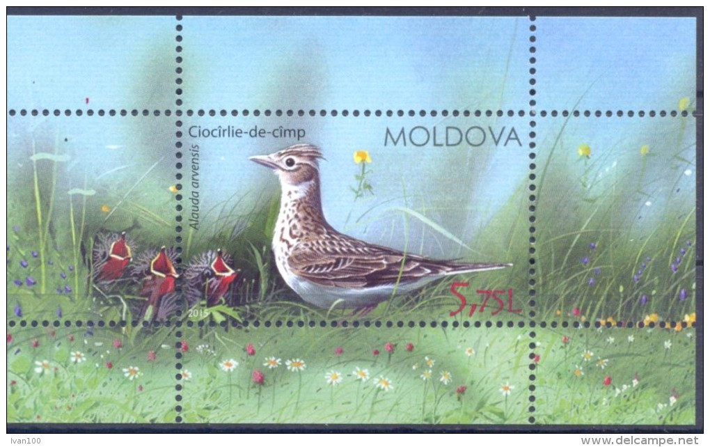 2015. Moldova, Birds Of Moldova, S/s, Mint/** - Moldavie