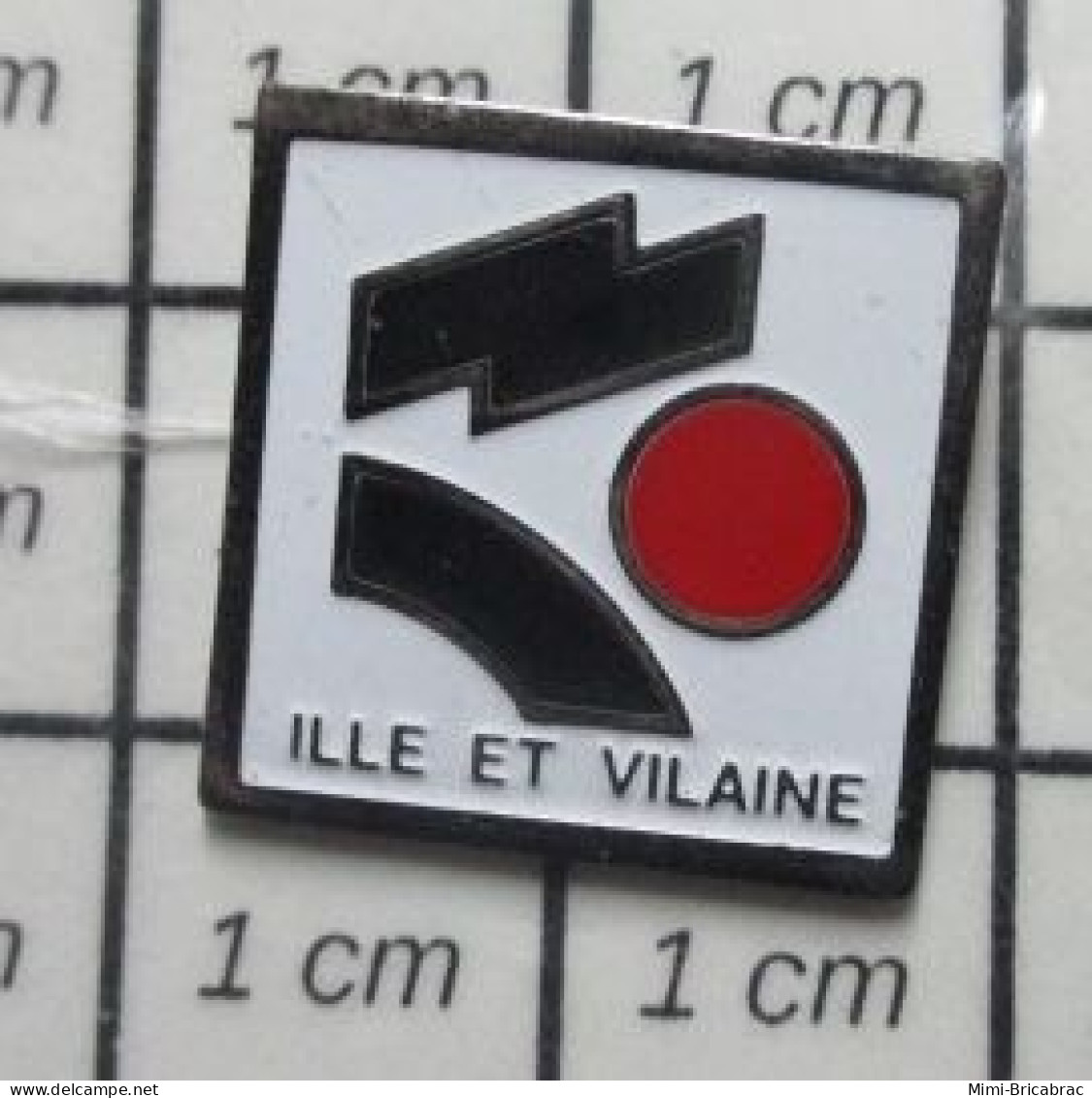511B Pin's Pins / Beau Et Rare / ADMINISTRATIONS / DEPARTEMENT DE L'ILLE ET VILAINE - Administración